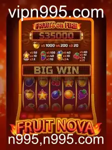 Descubra o Mundo do Jogo FruitNova