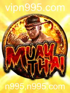 Explorando o Jogo MuayThai: Regras e Desafios Atuais